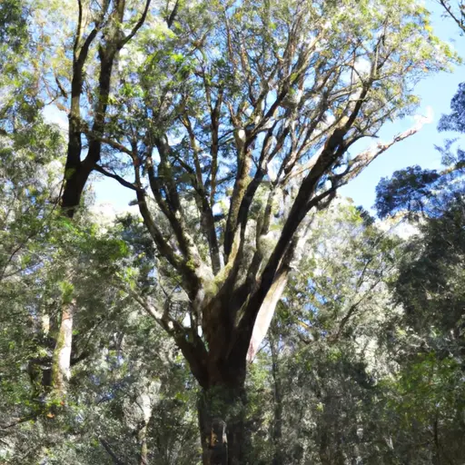 Un paisaje exuberante con follaje verde, árboles altos, fauna diversa, ríos que fluyen, flores coloridas y un aire brumoso